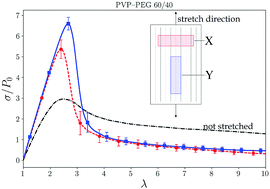 Graphical abstract: Soft to tough: ordering in and tack of polymeric materials