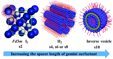 Graphical abstract: Self-assembly of cationic gemini surfactants, alkanediyl-bis-(dimethyldodecyl-ammonium bromide), in cyclohexane: effects of spacer length on their association into reverse lyotropic liquid crystalline or reverse vesicles
