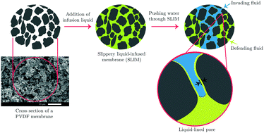 Graphical abstract: Liquid–liquid displacement in slippery liquid-infused membranes (SLIMs)