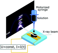Graphical abstract: Impact of the solubility of organic semiconductors for solution-processable electronics on the structure formation: a real-time study of morphology and electrical properties