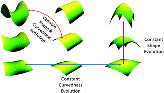 Graphical abstract: Extracting shape from curvature evolution in moving surfaces