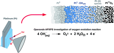 Graphical abstract: Elucidating the alkaline oxygen evolution reaction mechanism on platinum