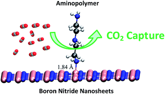 Graphical abstract: Aminopolymer functionalization of boron nitride nanosheets for highly efficient capture of carbon dioxide