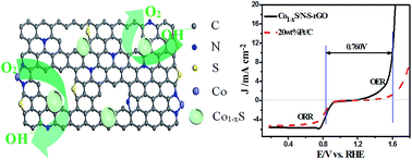 Graphical abstract: In situ growth of cobalt sulfide hollow nanospheres embedded in nitrogen and sulfur co-doped graphene nanoholes as a highly active electrocatalyst for oxygen reduction and evolution