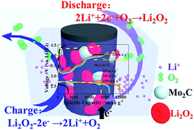 Graphical abstract: A high-performance oxygen electrode for Li–O2 batteries: Mo2C nanoparticles grown on carbon fibers