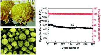 Graphical abstract: A hierarchical α-MoC1−x hybrid nanostructure for lithium-ion storage