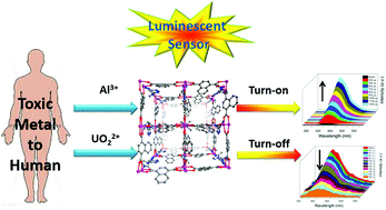 Graphical abstract: A superior fluorescent sensor for Al3+ and UO22+ based on a Co(ii) metal–organic framework with exposed pyrimidyl Lewis base sites