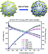 Graphical abstract: Atomic layer deposited tantalum oxide to anchor Pt/C for a highly stable catalyst in PEMFCs