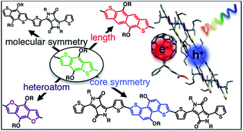 Graphical abstract: Systematic evaluation of structure–property relationships in heteroacene – diketopyrrolopyrrole molecular donors for organic solar cells