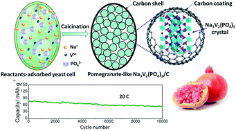 Graphical abstract: Microorganism-moulded pomegranate-like Na3V2(PO4)3/C nanocomposite for advanced sodium-ion batteries