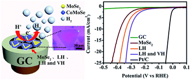Graphical abstract: Tuning electrochemical catalytic activity of defective 2D terrace MoSe2 heterogeneous catalyst via cobalt doping