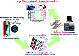 Graphical abstract: High-performance flexible thermoelectric generator by control of electronic structure of directly spun carbon nanotube webs with various molecular dopants