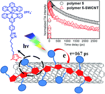 Graphical abstract: Study of electronic interactions and photo-induced electron transfer dynamics in a metalloconjugated polymer–single-walled carbon nanotube hybrid by ultrafast transient absorption spectroscopy