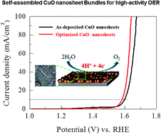 Graphical abstract: Self-assembled two-dimensional copper oxide nanosheet bundles as an efficient oxygen evolution reaction (OER) electrocatalyst for water splitting applications