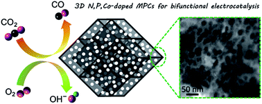 Graphical abstract: Self-growth-templating synthesis of 3D N,P,Co-doped mesoporous carbon frameworks for efficient bifunctional oxygen and carbon dioxide electroreduction