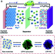 Graphical abstract: Robust LiTi2(PO4)3 microflowers as high-rate and long-life cathodes for Mg-based hybrid-ion batteries