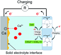 Graphical abstract: Coupling of nitroxyl radical as an electrochemical charging catalyst and ionic liquid for calcium plating/stripping toward a rechargeable calcium–oxygen battery