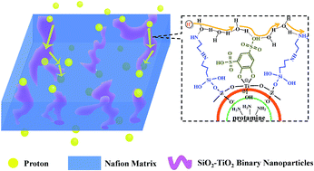 Graphical abstract: One-pot synthesis of silica–titania binary nanoparticles with acid–base pairs via biomimetic mineralization to fabricate highly proton-conductive membranes