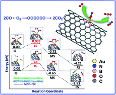 Graphical abstract: The tunable effect of nitrogen and boron dopants on a single walled carbon nanotube support on the catalytic properties of a single gold atom catalyst: a first principles study of CO oxidation