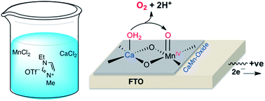 Graphical abstract: Electrocatalytic water oxidation at low energy cost by a highly active and robust calcium–manganese oxide thin film sintered on an FTO electrode with ethyl methyl imidazolium triflate ionic liquid