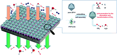 Graphical abstract: Enzyme-embedded metal–organic framework membranes on polymeric substrates for efficient CO2 capture