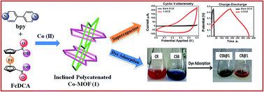Graphical abstract: Design and construction of a ferrocene based inclined polycatenated Co-MOF for supercapacitor and dye adsorption applications