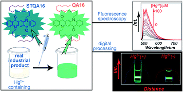 Graphical abstract: A solothiocarbonyl quinacridone with long chains used as a fluorescent tool for rapid detection of Hg2+ in hydrophobic naphtha samples