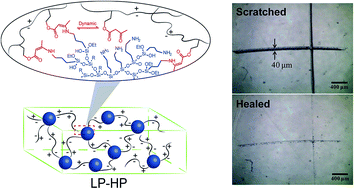Graphical abstract: Developing self-healable and antibacterial polyacrylate coatings with high mechanical strength through crosslinking by multi-amine hyperbranched polysiloxane via dynamic vinylogous urethane