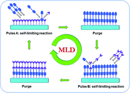 Graphical abstract: An overview of molecular layer deposition for organic and organic–inorganic hybrid materials: mechanisms, growth characteristics, and promising applications