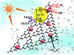 Graphical abstract: Ni12P5 nanoparticles embedded into porous g-C3N4 nanosheets as a noble-metal-free hetero-structure photocatalyst for efficient H2 production under visible light