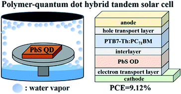 Graphical abstract: Promotion of performances of quantum dot solar cell and its tandem solar cell with low bandgap polymer (PTB7-Th):PC71BM by water vapor treatment on quantum dot layer on its surface