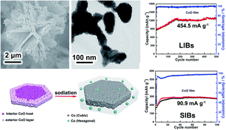 Graphical abstract: Hierarchical CoO microflower film with excellent electrochemical lithium/sodium storage performance