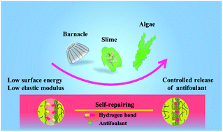 Graphical abstract: Self-repairing silicone coatings for marine anti-biofouling