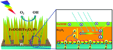 Graphical abstract: One-dimensional hematite photoanodes with spatially separated Pt and FeOOH nanolayers for efficient solar water splitting