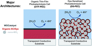 Graphical abstract: Water-oxidation photoanodes using organic light-harvesting materials: a review