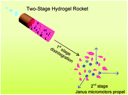 Graphical abstract: Transportation and release of Janus micromotors by two-stage rocket hydrogel