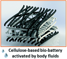 Graphical abstract: Cellulose-based electrospun fibers functionalized with polypyrrole and polyaniline for fully organic batteries
