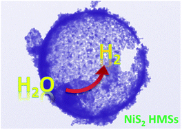 Graphical abstract: Surface anion-rich NiS2 hollow microspheres derived from metal–organic frameworks as a robust electrocatalyst for the hydrogen evolution reaction