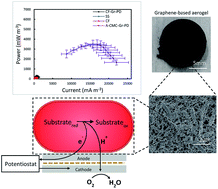 Graphical abstract: Platinum-free, graphene based anodes and air cathodes for single chamber microbial fuel cells