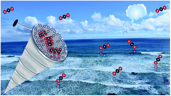 Graphical abstract: Metal organic framework derived mesoporous carbon nitrides with a high specific surface area and chromium oxide nanoparticles for CO2 and hydrogen adsorption