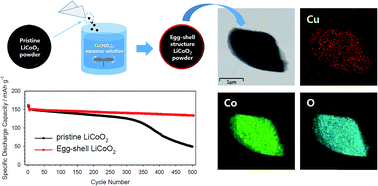 Graphical abstract: Egg-shell structured LiCoO2 by Cu2+ substitution to Li+ sites via facile stirring in an aqueous copper(ii) nitrate solution
