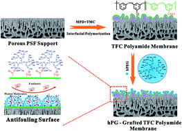 Graphical abstract: Modification of thin film composite polyamide membranes with 3D hyperbranched polyglycerol for simultaneous improvement in their filtration performance and antifouling properties