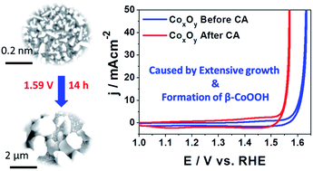 Graphical abstract: Potentiostatic phase formation of β-CoOOH on pulsed laser deposited biphasic cobalt oxide thin film for enhanced oxygen evolution