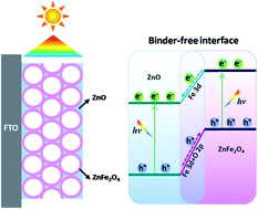 Graphical abstract: Highly ordered ZnO/ZnFe2O4 inverse opals with binder-free heterojunction interfaces for high-performance photoelectrochemical water splitting