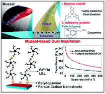 Graphical abstract: Mussel-inspired surface functionalization of porous carbon nanosheets using polydopamine and Fe3+/tannic acid layers for high-performance electrochemical capacitors