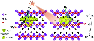 Graphical abstract: Generation of defect clusters for 1O2 production for molecular oxygen activation in photocatalysis