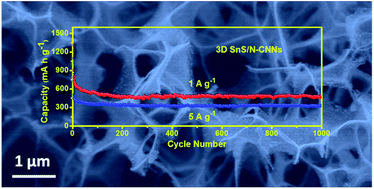 Graphical abstract: Robust 3D macroporous structures with SnS nanoparticles decorating nitrogen-doped carbon nanosheet networks for high performance sodium-ion batteries