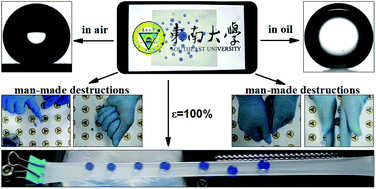 Graphical abstract: Large-scale fabrication of translucent, stretchable and durable superhydrophobic composite films