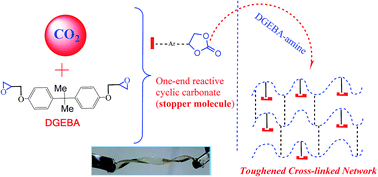 Graphical abstract: CO2 derived hydrogen bonding spacer: enhanced toughness, transparency, elongation and non-covalent interactions in epoxy-hydroxyurethane networks