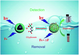 Graphical abstract: The simultaneous detection and removal of organophosphorus pesticides by a novel Zr-MOF based smart adsorbent